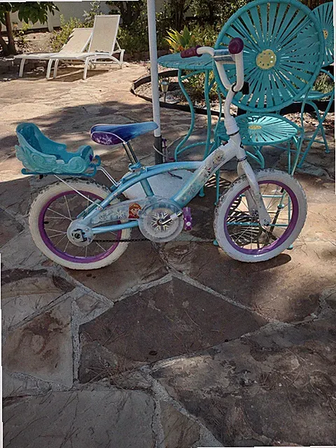 Girls Frozen Themed Bicycle With Training Wheels Included